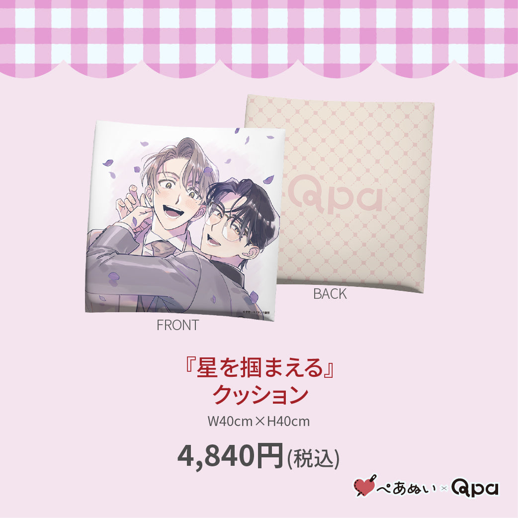 【受注生産商品】『星を掴まえる』クッション