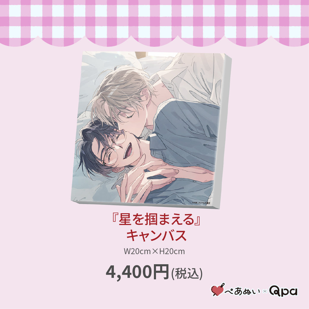 【受注生産商品】『星を掴まえる』キャンバス